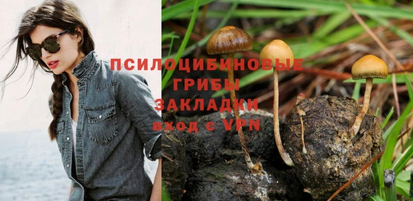 тгк Заволжье