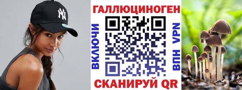 Купить закладки  Северобайкальск  Галлюциногенные грибы GOLDEN TEACHER 